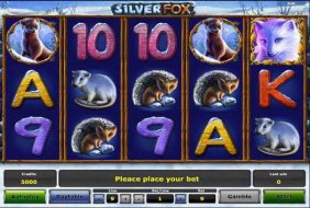 Silver Fox  -  Greentube